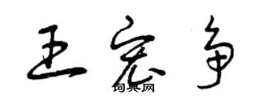 曾慶福王宏爭草書個性簽名怎么寫