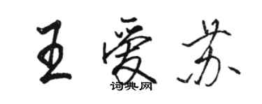 駱恆光王愛蘇行書個性簽名怎么寫