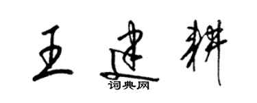 梁錦英王建耕草書個性簽名怎么寫