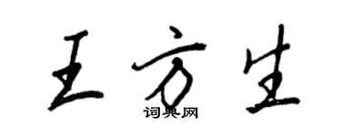 王正良王方生行書個性簽名怎么寫