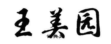 胡問遂王美園行書個性簽名怎么寫