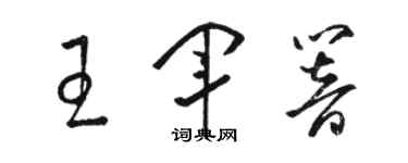 駱恆光王軍響草書個性簽名怎么寫