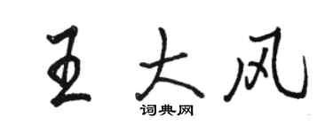 駱恆光王大風行書個性簽名怎么寫