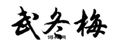 胡問遂武冬梅行書個性簽名怎么寫