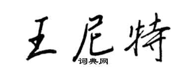 王正良王尼特行書個性簽名怎么寫