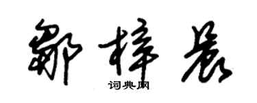 朱錫榮鄒梓晨草書個性簽名怎么寫