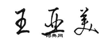 駱恆光王亞美行書個性簽名怎么寫