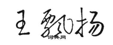 駱恆光王飄揚草書個性簽名怎么寫