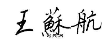 王正良王蘇航行書個性簽名怎么寫