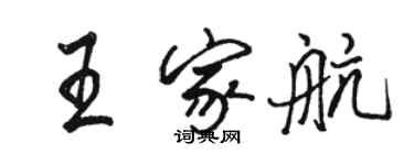 駱恆光王家航行書個性簽名怎么寫