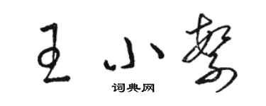 駱恆光王小繁草書個性簽名怎么寫