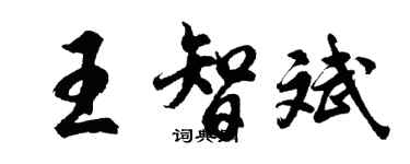 胡問遂王智斌行書個性簽名怎么寫