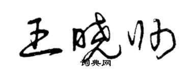 曾慶福王曉帥草書個性簽名怎么寫