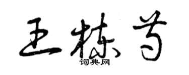 曾慶福王棟芍草書個性簽名怎么寫