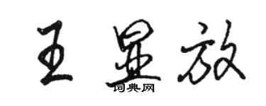 駱恆光王顯放行書個性簽名怎么寫