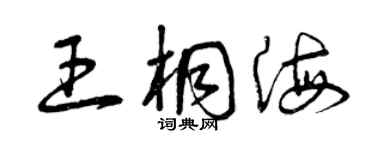 曾慶福王桐海草書個性簽名怎么寫