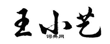 胡問遂王小藝行書個性簽名怎么寫