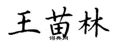 丁謙王苗林楷書個性簽名怎么寫