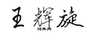 駱恆光王輝旋行書個性簽名怎么寫