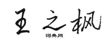 駱恆光王之楓行書個性簽名怎么寫