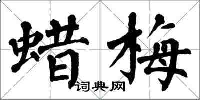 翁闓運蠟梅楷書怎么寫