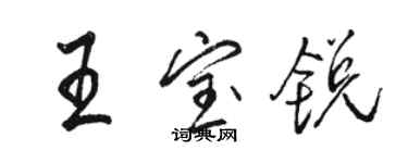 駱恆光王寶銳行書個性簽名怎么寫