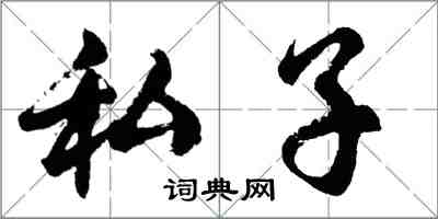 胡問遂私子行書怎么寫