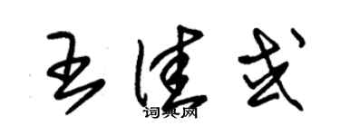 朱錫榮王佳或草書個性簽名怎么寫