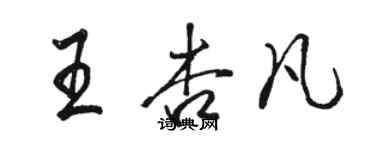 駱恆光王杏凡行書個性簽名怎么寫