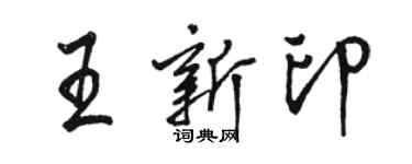 駱恆光王新印行書個性簽名怎么寫