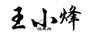 胡問遂王小烽行書個性簽名怎么寫