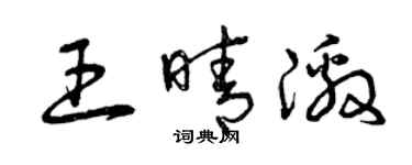 曾慶福王晴激草書個性簽名怎么寫