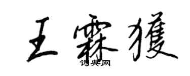 王正良王霖獲行書個性簽名怎么寫