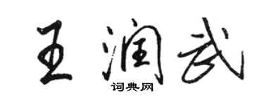 駱恆光王潤武行書個性簽名怎么寫