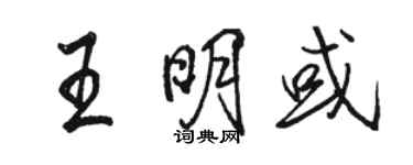 駱恆光王明或行書個性簽名怎么寫