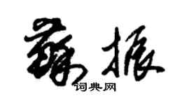 朱錫榮蘇振草書個性簽名怎么寫