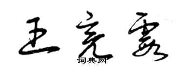 曾慶福王亮霞草書個性簽名怎么寫