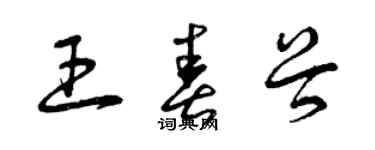 曾慶福王春穀草書個性簽名怎么寫