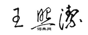 駱恆光王照潔草書個性簽名怎么寫