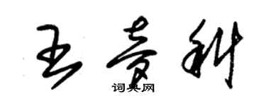 朱錫榮王夢科草書個性簽名怎么寫