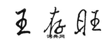 駱恆光王存旺行書個性簽名怎么寫