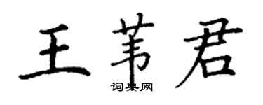 丁謙王葦君楷書個性簽名怎么寫