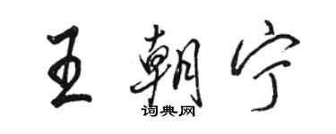 駱恆光王朝寧行書個性簽名怎么寫