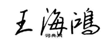 王正良王海鴻行書個性簽名怎么寫