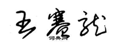 朱錫榮王賽龍草書個性簽名怎么寫