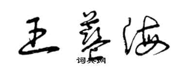 曾慶福王藍海草書個性簽名怎么寫