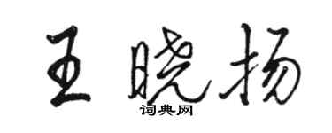 駱恆光王曉揚行書個性簽名怎么寫