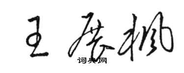 駱恆光王展楓草書個性簽名怎么寫