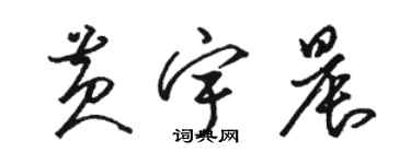 駱恆光黃宇晨草書個性簽名怎么寫