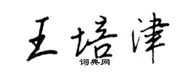 王正良王培津行書個性簽名怎么寫